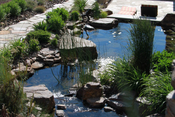 Water Feature and Rock Wall
