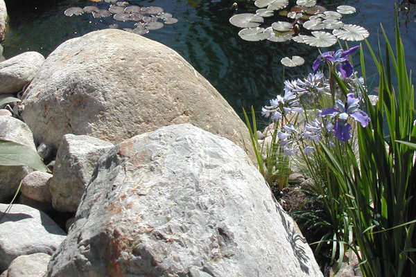 Rocks with Pond